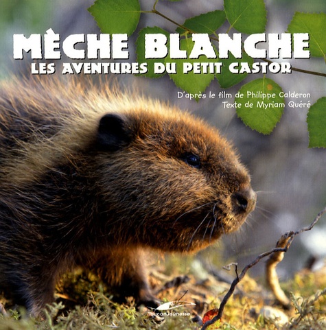 Philippe Calderon et Myriam Quéré - Mèche Blanche - Les aventures du petit castor.