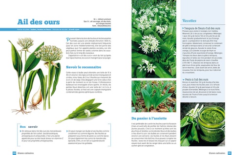 Plantes sauvages. Comestibles & bienfaisantes