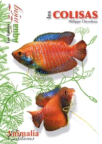 Les colisas