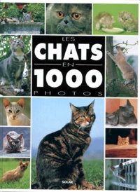 Philippe Coppé - Les chats en 1000 photos.