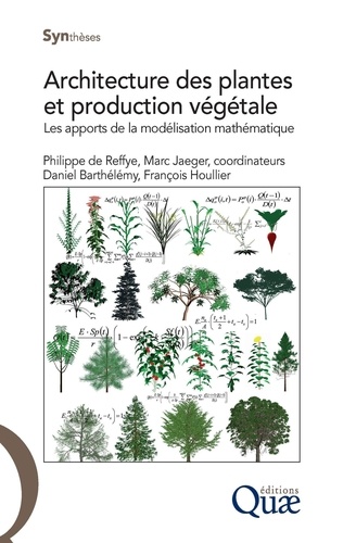 Architecture des plantes et production végétale. Les apports de la modélisation mathématique