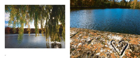 Les étangs de Ville-d'Avray. Carnet photographique au gré des saisons - Occasion