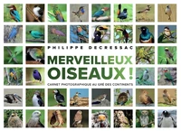 Merveilleux oiseaux !