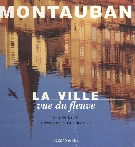 Montauban, la ville vue du fleuve