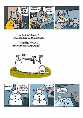 Le Chat Tome 17 Le Chat erectus