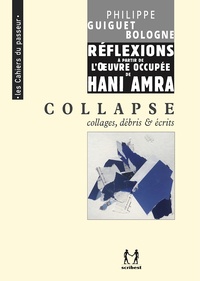 Philippe Guiguet Bologne - Collapse - Collages, débris et écrits, réflexions à partir de l'oeuvre occupée de Hani Amra.
