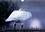 CALVENDO Animaux  CYGNES. Blanche Elégance (Calendrier mural 2020 DIN A4 horizontal). Les plus belles photos de cygnes prises dans des régions sauvages de France et de Finlande. (Calendrier mensuel, 14 Pages )