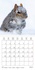 CALVENDO Animaux  ECUREUILS. Acrobates de la Forêt (Calendrier mural 2021 300 × 300 mm Square). Les écureuils du Québec au fil des quatre saisons. (Calendrier mensuel, 14 Pages )