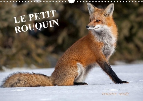 Philippe Henry - CALVENDO Animaux  : LE PETIT ROUQUIN (Calendrier mural 2022 DIN A3 horizontal) - 13 photos de renards au fil des quatre saisons (Calendrier mensuel, 14 Pages ).