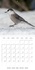 CALVENDO Animaux  PLUMES GRISES - LE MÉSANGEAI DU CANADA (Calendrier mural 2021 300 × 300 mm Square). Rencontre avec le mésangeai du Canada (Calendrier mensuel, 14 Pages )