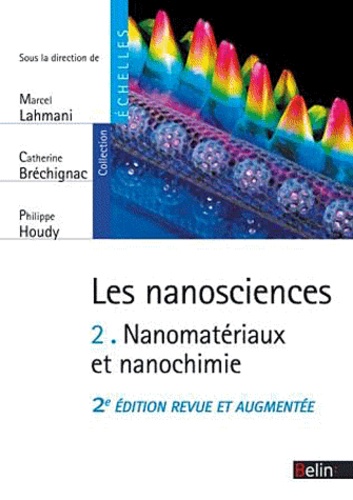 Philippe Houdy et Marcel Lahmani - Les nanosciences - Volume 2 : Nanomatériaux et nanochimie.