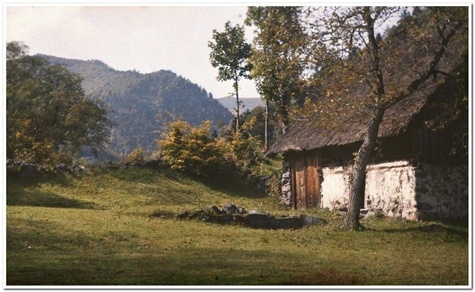 Un siècle de photographie en Alsace (1839-1939)