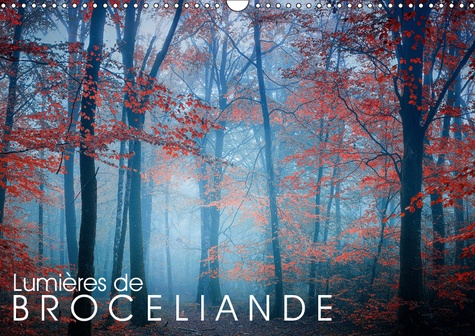 Majestueuse Argentine (Calendrier Mural 2019 DIN... De Guillaume Fleurent - Livre - Decitre