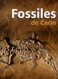 Fossiles de Cerin