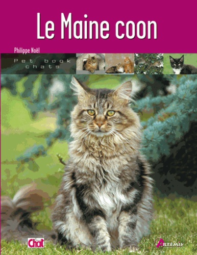 Philippe Noël - Le Maine coon.