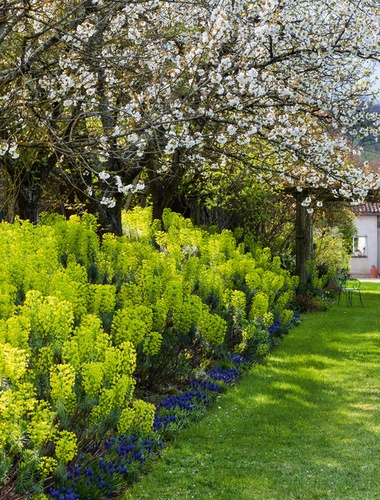 Le jardin d'Entêoulet