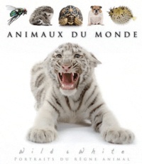 Philippe Poulet - Animaux du monde - Wild & White, Portraits du règne animal.