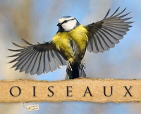 Philippe Poulet - Oiseaux.