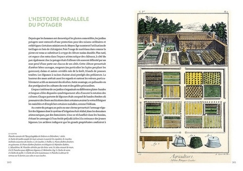 Histoire des jardins