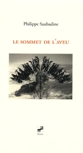 Le sommet de l'aveu