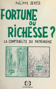 Fortune ou richesse ? La comptabilité du patrimoine