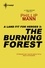The Burning Forest. A Land Fit For Heroes 3