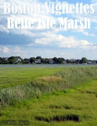 Boston Vignettes - Belle Isle Marsh