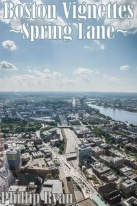 Boston Vignettes - Spring Lane