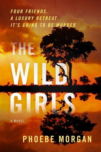 Phoebe Morgan - The Wild Girls - A Novel.