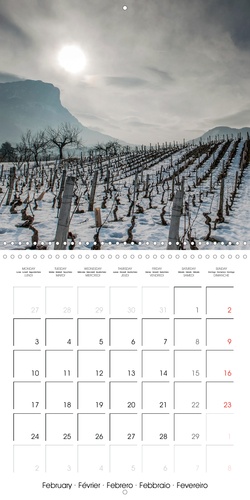 CALVENDO Nature  Dans les vignes de Savoie (Calendrier mural 2020 300 × 300 mm Square). Les vignes au pays de Savoie (Calendrier mensuel, 14 Pages )
