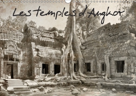 CALVENDO Places  Les temples d'Angkor (Calendrier mural 2017 DIN A3 horizontal). Les fabuleux temples d'Angkor au Cambodge. (Calendrier mensuel, 14 Pages )