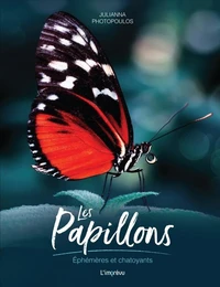 Les papillons