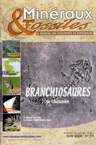 Patrice Lebrun - Minéraux & Fossiles N° 371, Juin 2008 : Branchiosaures de l'Autunien.
