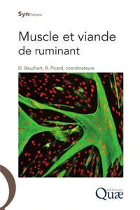 Muscle et viande de ruminants