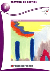 Travaux de gestion Terminale STT