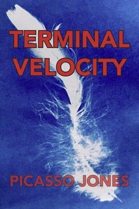 Terminal Velocity