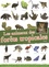 Les animaux des forêts tropicales. Avec un panorama, plus de 80 autocollants et une planche de pochoirs