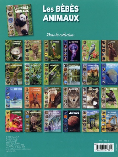 Les bébés animaux de Piccolia - Album - Livre - Decitre