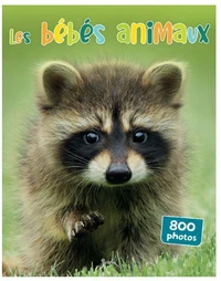 Les bébés animaux