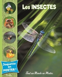  Piccolia - Les insectes.