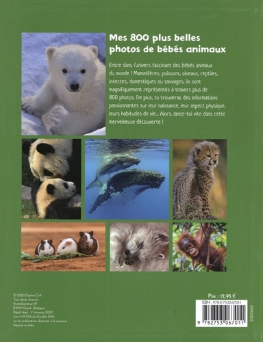 30 magnifiques photos de bébés animaux - Dictionnaire des animaux
