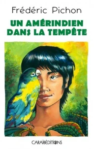 Un amérindien dans la tempête