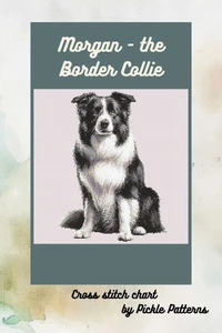 Morgan the Border Collie