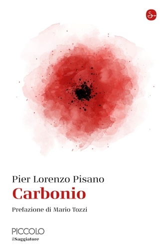 Pier Lorenzo Pisano - Carbonio.