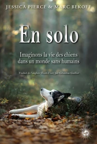 En solo