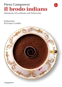 Il brodo indiano