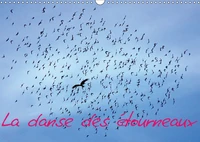 La danse des étourneaux (Calendrier mural 2017 DIN A3 horizontal)