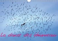 La danse des étourneaux (Calendrier mural 2017 DIN A4 horizontal)