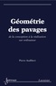 Pierre Audibert - Géométrie des pavages - De la conception à la réalisation sur ordinateur.