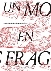 Pierre Barré - Un monde en fragments.